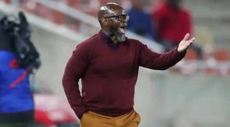ISwallows ibuyele ejimini uKomphela engazi 