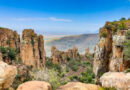 Explore Mapungubwe National Park for ancient kingdom heritage, the golden rhino, rich wildlife, birding, and dramatic Limpopo-Shashe scenery.