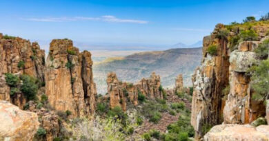 Explore Mapungubwe National Park for ancient kingdom heritage, the golden rhino, rich wildlife, birding, and dramatic Limpopo-Shashe scenery.